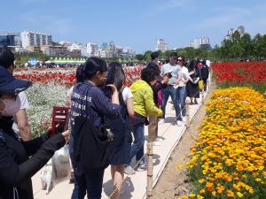 ‘태화강 국가정원 봄꽃축제’에 25만명 다녀갔다